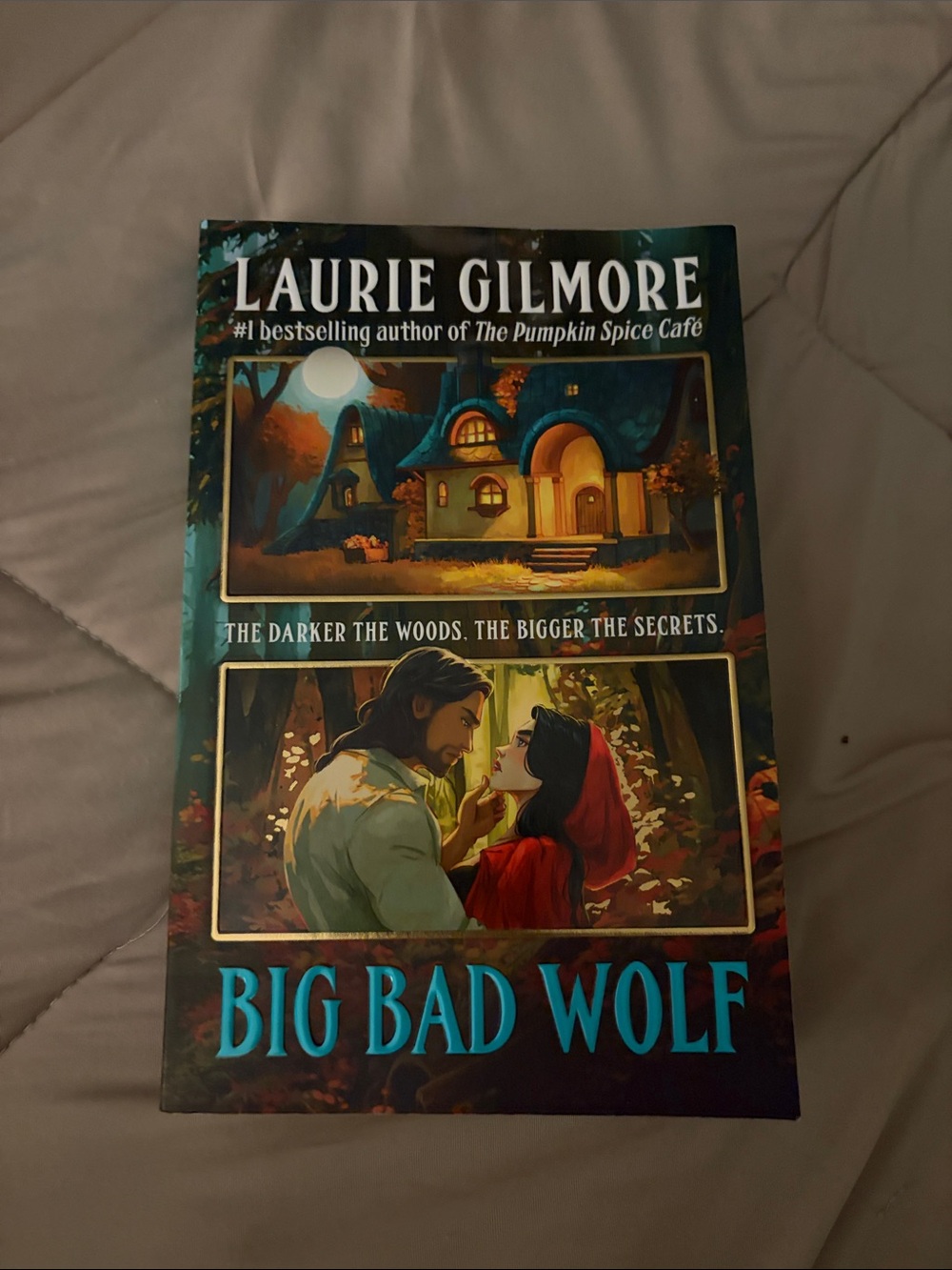 Big Bad Wolf (Softcover) by Laurie Gilmore